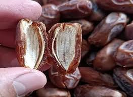 خرما کبکاب نیمه خشک مدرن مناسب سبک زندگی سالم امروزی